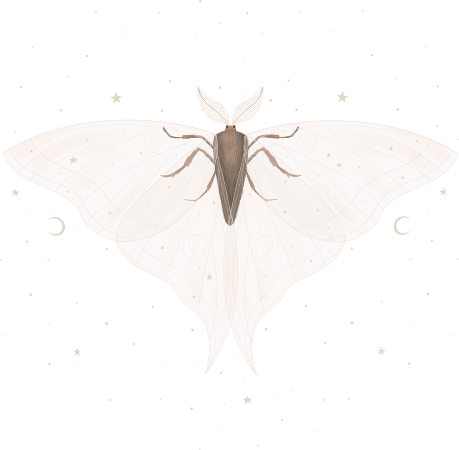 illustration of magical night moth with cosmic elements and plants. magical elements. ideal for printing on a calendar, fabric, postcard and design